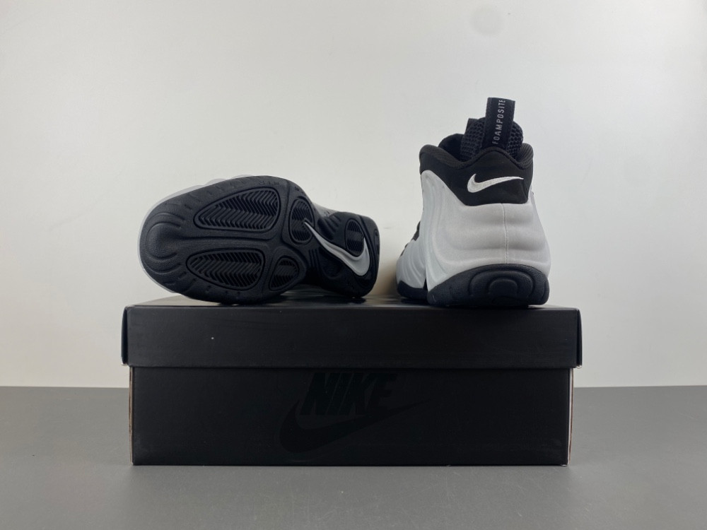 Nike Air Foamposite Pro "Wolf Grey" HF0794-001
