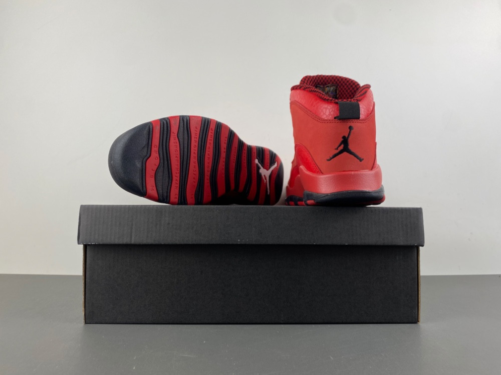 Steve Wiebe x Air Jordan 10 Retro 