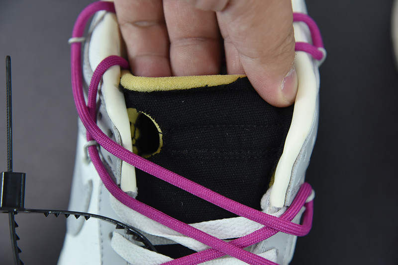 of x dunk low 