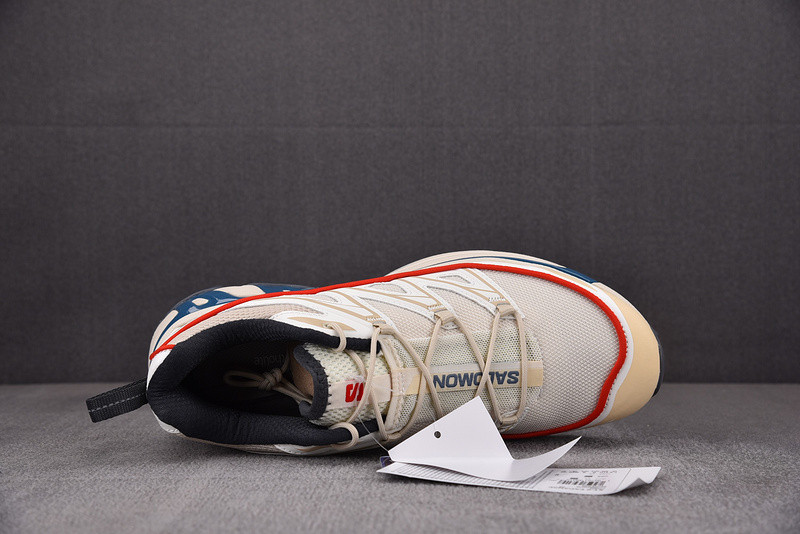 salomon xt-6