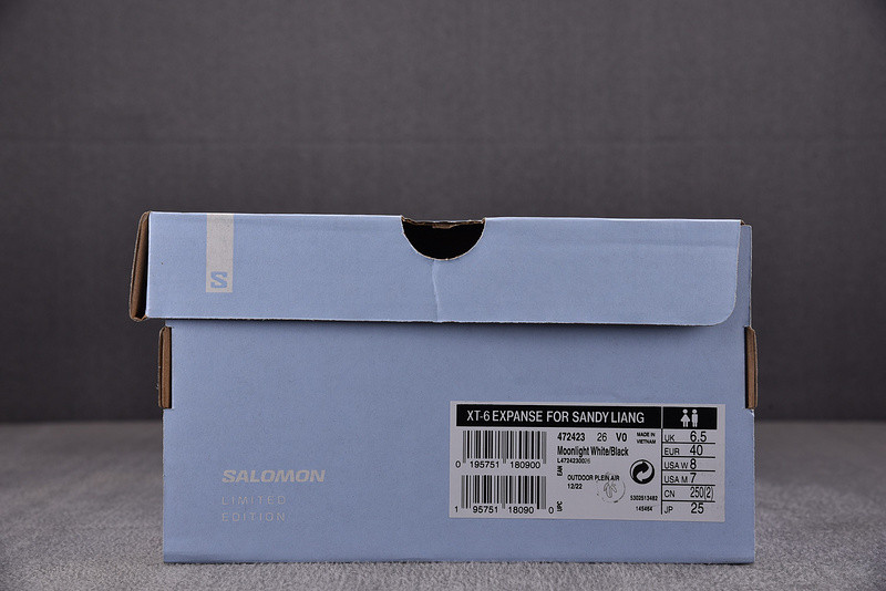 salomon xt-6 expanse