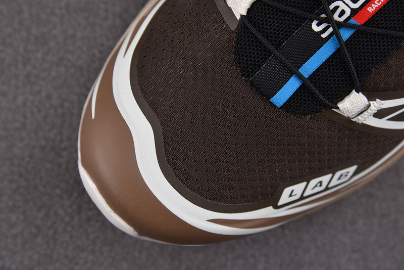 salomon xt-6 advanced